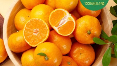 ✨ 놓치면 후회! 역대급 당도선별귤 솔직 후기 & 할인 정보🍊